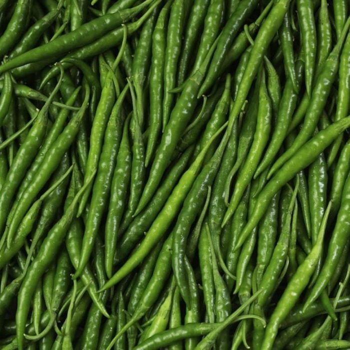 WhatsApp Image 2025-10-21 at 5.54.16 PM